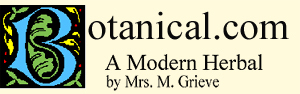 Logo for Botanical.com